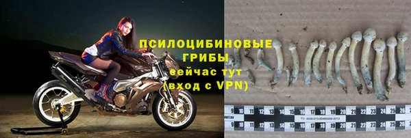 прущие крисы Абдулино