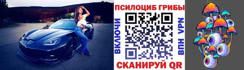 Псилоцибиновые грибы Cubensis  Воронеж 